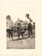 ANCIENNE PHOTOGRAPHIE TRIO