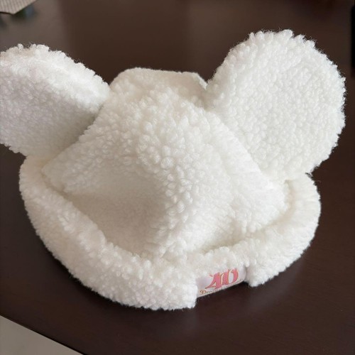 Chapeau oreille mickey mouse - chapeau, d'oreille