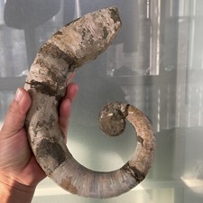 1242g215mm Big Repaired