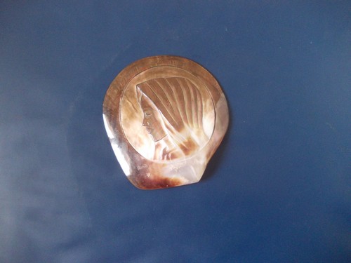 Rare ancien coquillage - rare,