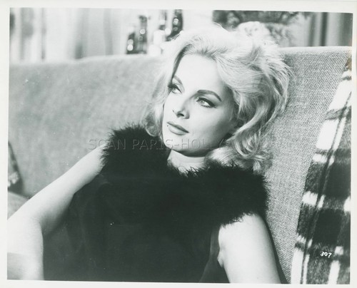 Virna lisa bambole 1965 - virna,