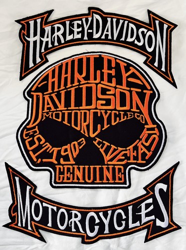 Harley davidson skull biker - skull,