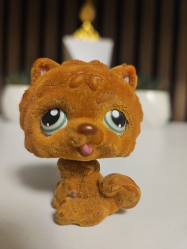 Authentic littlest pet - ✨️authentic,
