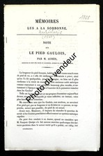 Histoire des Gaules -