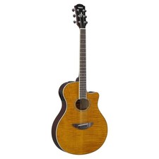 Guitare acoustique électrique