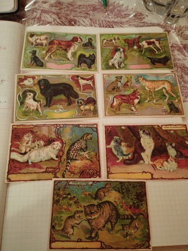 Cartes chromos chiens - cartes, et