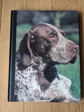 Mon compagnon chien BOU à BRA