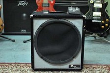 1980s Polytone Mini Brute IV
