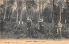 CPA 40 LANDAISES COUPANT LA