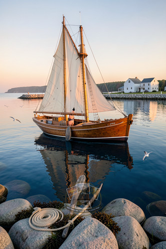 Gaff rigged daysailer cream - daysailer,