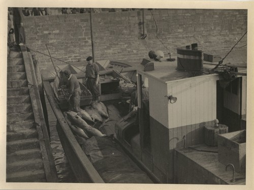 Photo ancienne vintage - photo,