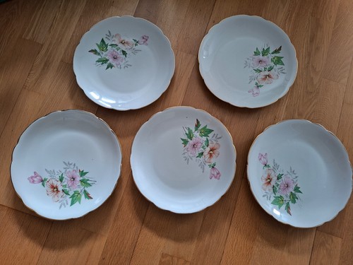 Assiette plate porcelaine - plate, x5