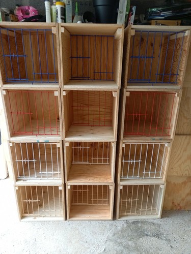 Casier pigeon voyageur type - a,