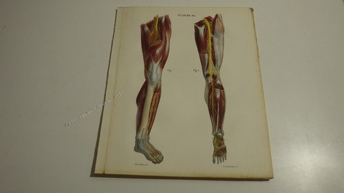 1850 lithographie couleur - 1850.lithographie,
