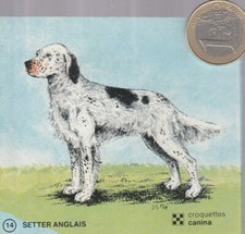 C44ani. Animaux. Chien