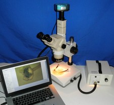 Olympus Stereo Zoom Microscope
