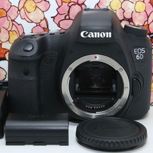 Appareil photo reflex