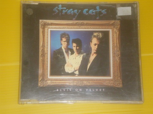 Stray cats elvis velvet - cats,