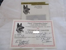 VIEUX PAPIER ENVELOTTE ET