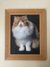 Cadre Bois Sous Verre Chat à poser ou à suspendre 24cm X 30cm