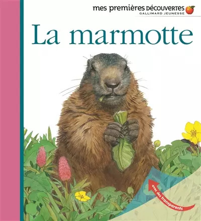 Marmotte mes premières - la, •
