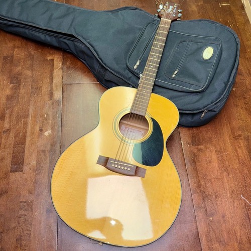Takamine 230 string - takamine, 6-string