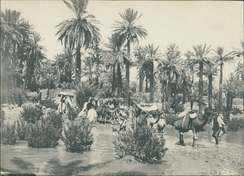 Maroc oued zouzfana passage - maroc,, zouzfana,
