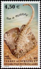 Timbre TAAF 413** neuf sans