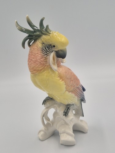 Karl ens splendide cacatoès - ens, ,