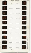 GROTTES DE PRESQUE - CARTE