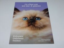 CARTE POSTALE - CHAT - SACRE DE BIRMANIE - ANIMAUX
