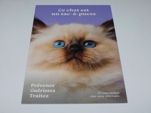 Carte postale chat sacre - -,