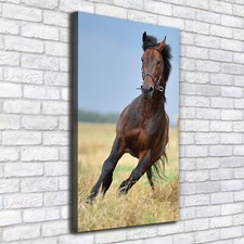Tulup Tableau Sur Toile Image Imprimé 50x100cm - Cheval sur le terrain