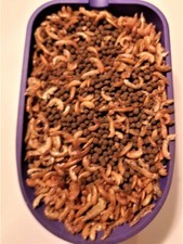 NOURRITURE  SPECIALE TORTUES D'EAU - GAMMARE + GRANULE