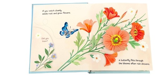Yoojin kim little book - yoojin,