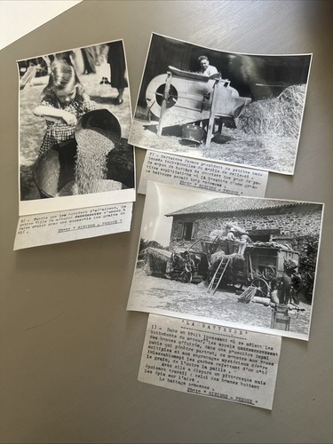 Lot photos de - 3,