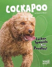 Paula M. Wilson Cockapoo