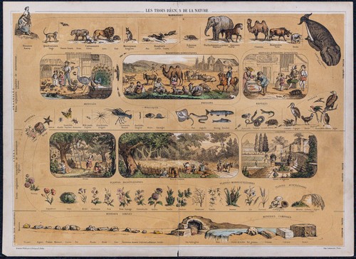 1880 trois règnes de la - -,