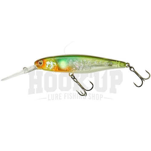Illex squirrel sp - 79,