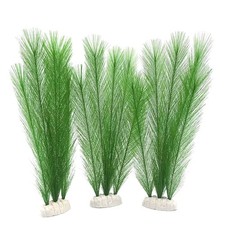Plantes aquatiques vertes