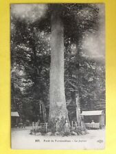 cpa FRANCE 77 - FORÊT de FONTAINEBLEAU Le Jupiter ARBRE TREE Stand Boutiques