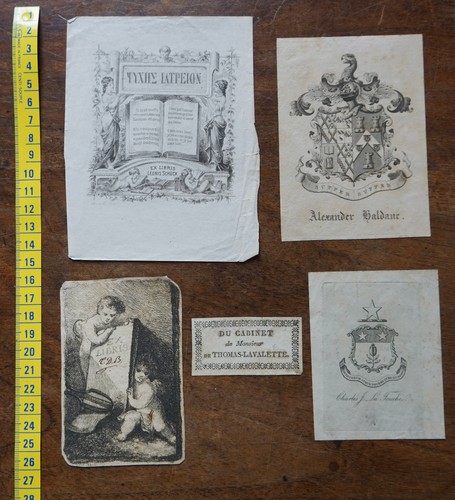 Lot 5 - lot,