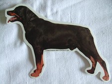 GRAND AUTOCOLLANT  - motif chien  ROTTWEILER
