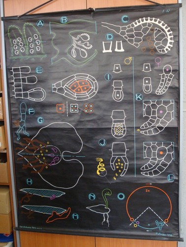 Carte école scolaire - carte, d'école