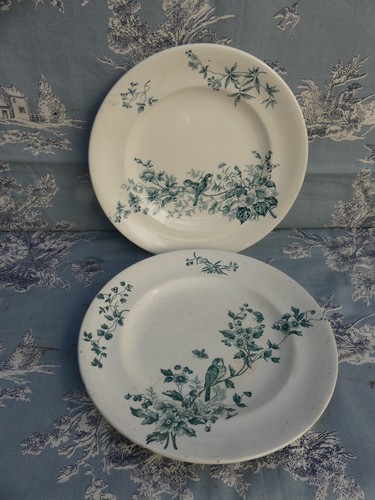 Assiettes longwy mignon - 2,