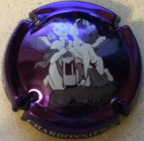 Capsule champagne - capsule,