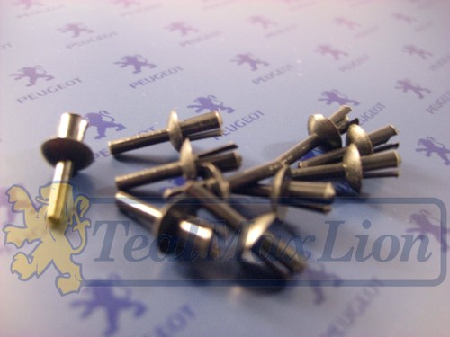 Jeu rivets 5 mm noirs - 10,