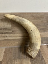 Corne De Vache