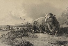 Soulange-Teissier (1814-1898)