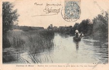 77-MEAUX RELEVE DES VERVEUX L ILE DES ROIZES-N�LP5043-G/0055